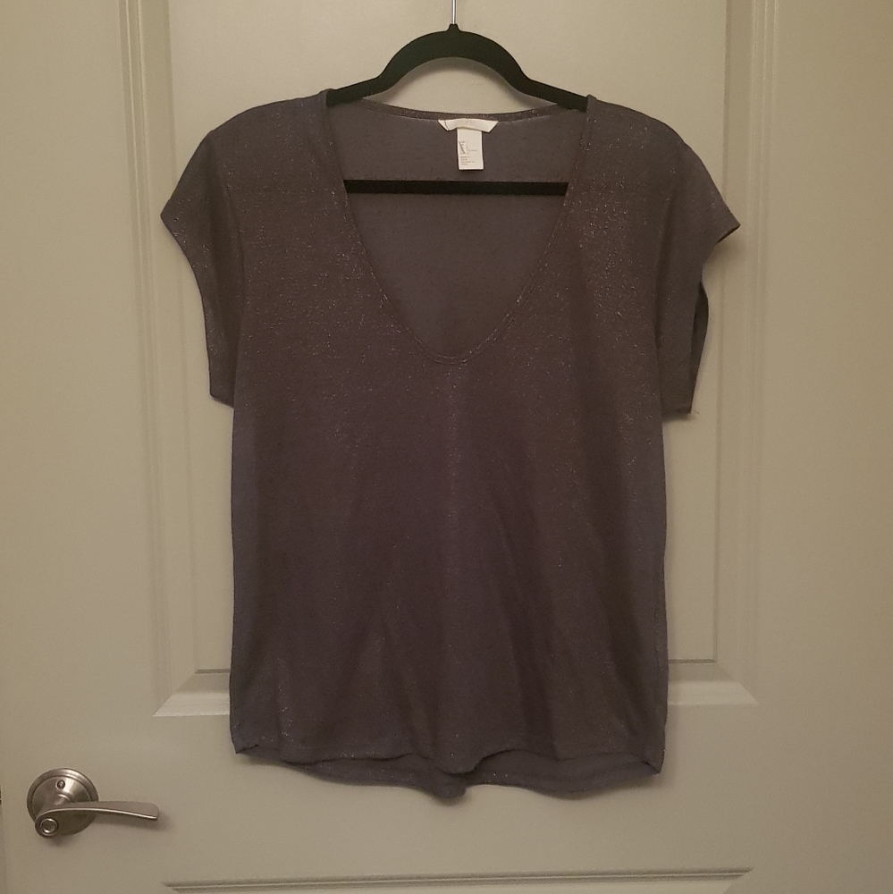 NWOT H&M V Neck Tshirt Metallic Gold and Gray